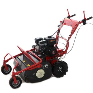 Blue Bird FM600 - Tondeuse débroussailleuse professionnelle à couteaux - Loncin LC175F-2